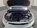 Kia Stonic 1.2 DPi Drive Plus Blanco - thumbnail 22
