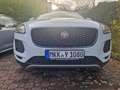 Jaguar E-Pace Navi Leder Allrad - thumbnail 14