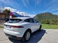 Jaguar E-Pace Navi Leder Allrad - thumbnail 12