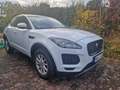 Jaguar E-Pace Navi Leder Allrad - thumbnail 15