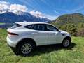 Jaguar E-Pace Navi Leder Allrad - thumbnail 18