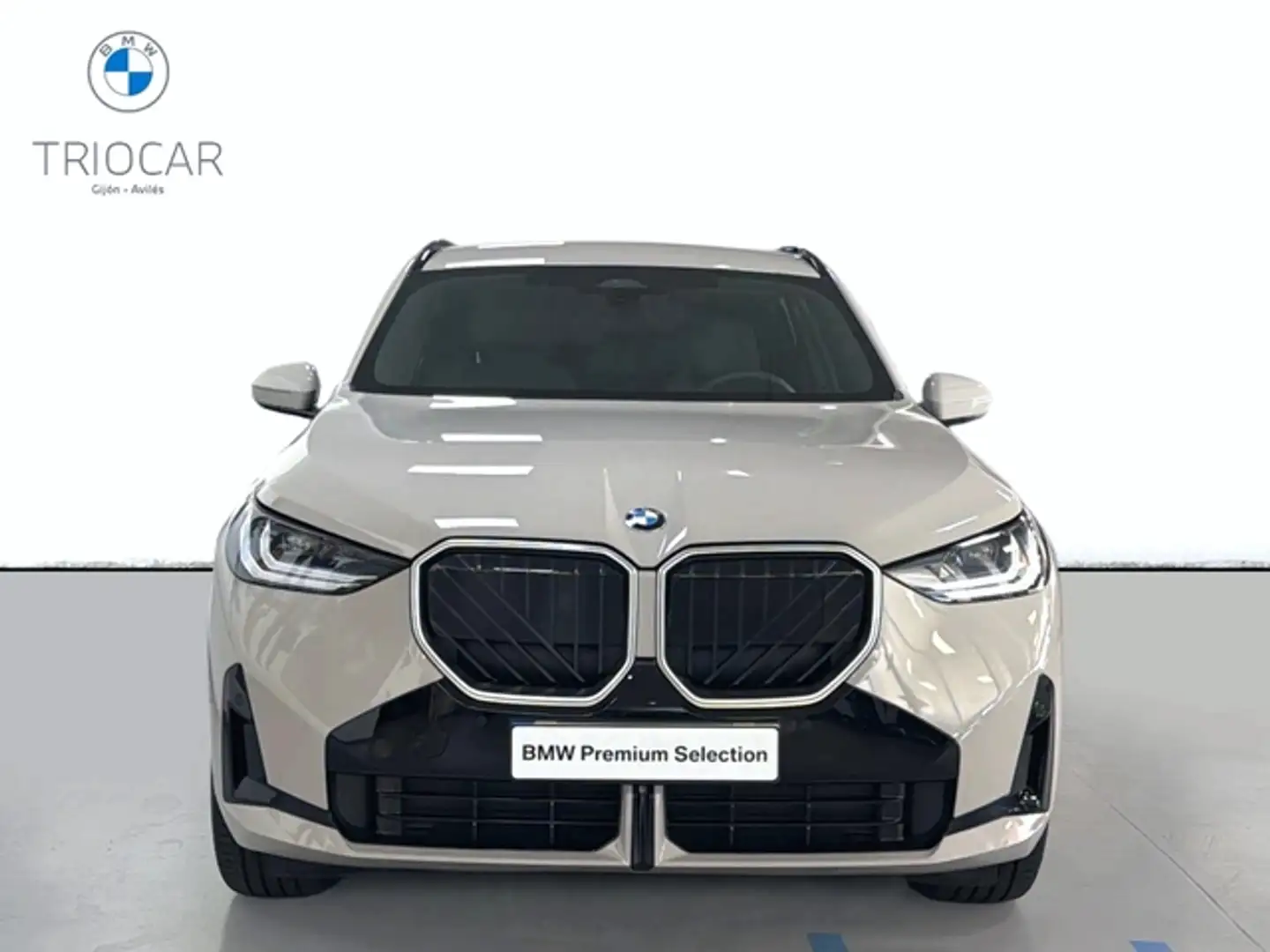 BMW X3 xDrive30e 220 kW (299 CV) - 2