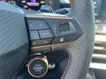 CUPRA Terramar 1.5 e-TSI 150 PS DSG Blanc - thumbnail 12