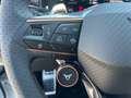 CUPRA Terramar 1.5 e-TSI 150 PS DSG Blanc - thumbnail 11