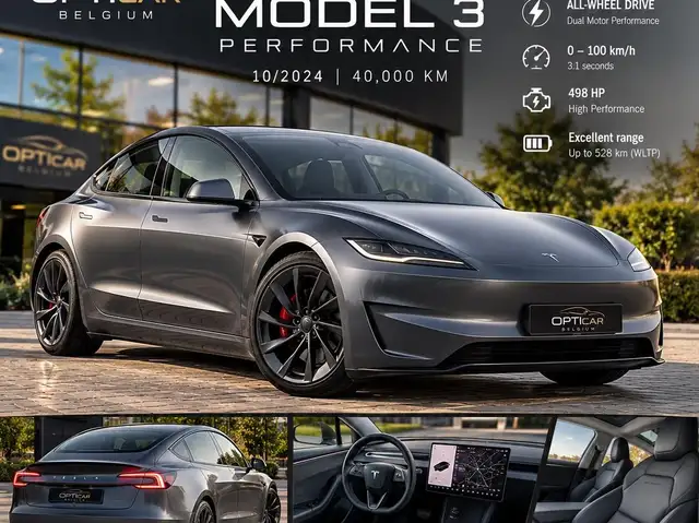 Tesla Model 3 Model 3 78 kWh AWD Performance (377 kW)