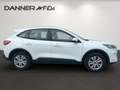 Ford Kuga 120PS Diesel/Automatik 2,0 ALLRAD Weiß - thumbnail 3