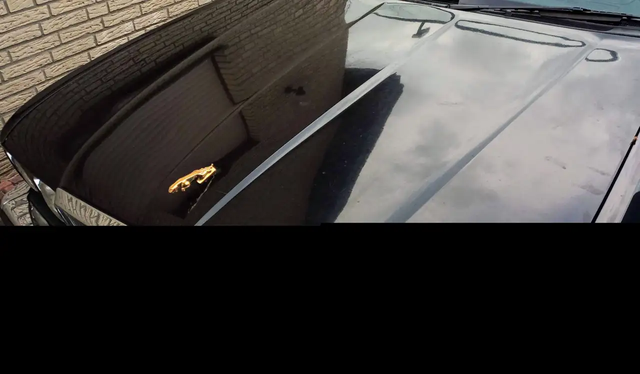 Jaguar XJ40, foto 10