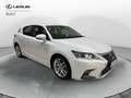 Lexus CT 200h CT Hybrid Executive Weiß - thumbnail 3