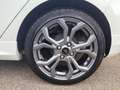 Ford Fiesta Fiesta 1.5 EcoBlue 5 porte ST-Line Bianco - thumbnail 6