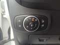 Ford Fiesta Fiesta 1.5 EcoBlue 5 porte ST-Line Bianco - thumbnail 14
