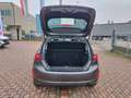 Ford Fiesta Fiesta 5p 1.1 Titanium 75cv Gris - thumbnail 25