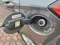 Ford Fiesta Fiesta 5p 1.1 Titanium 75cv Gris - thumbnail 27