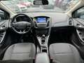 Ford Focus 1.5 TDCi SYNC Edition▪️CarPlay▪️EURO 6 Grigio - thumbnail 11
