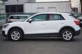 Audi Q2 Automatik Tempomat Klima PDC Allwetter Kamera Weiß - thumbnail 2