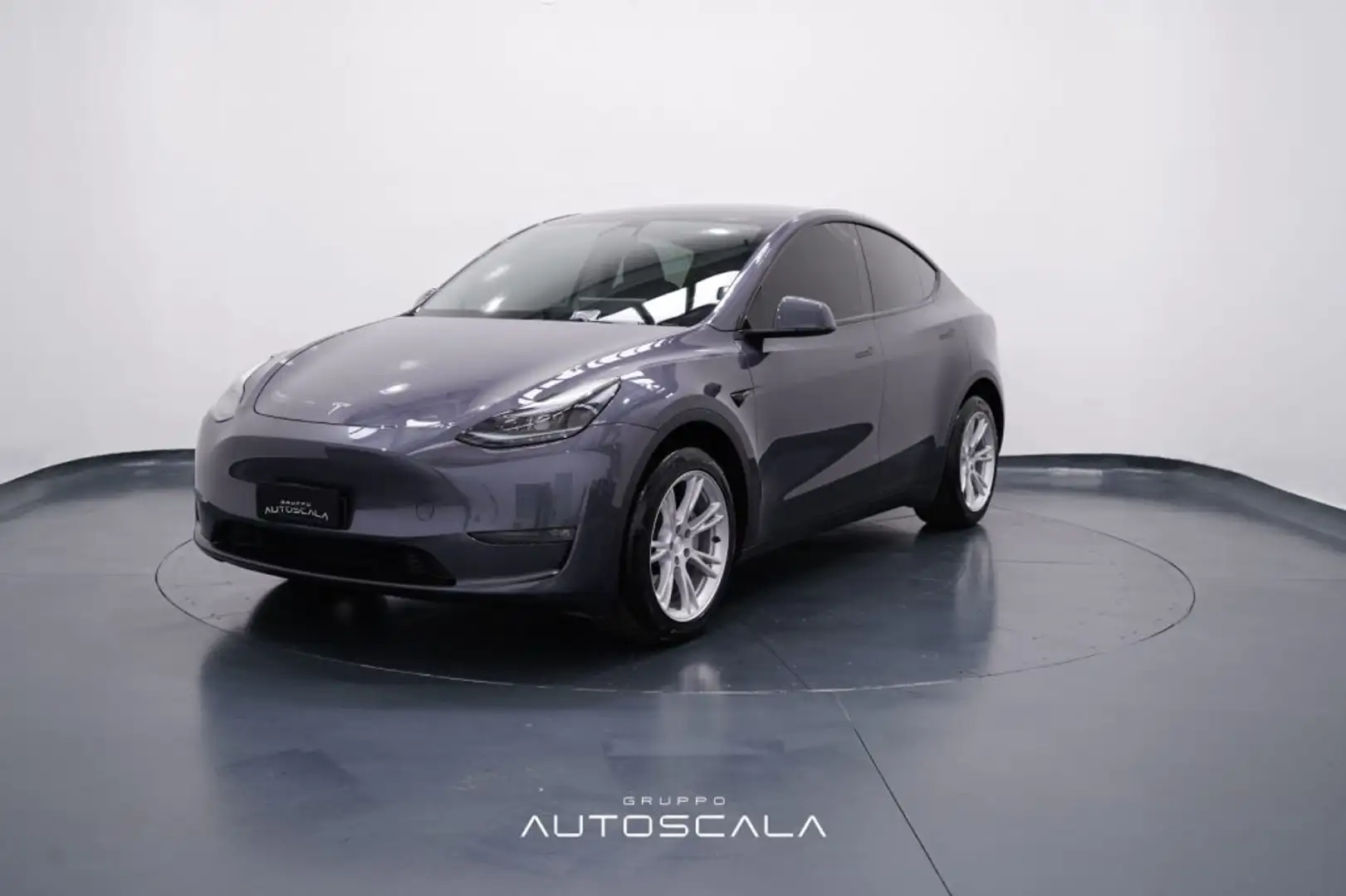Tesla Model Y Long Range AWD Grigio - 1