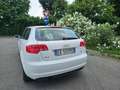 Audi A3 A3 II 2008 Sportback Sportback 1.6 tdi Attraction Bianco - thumbnail 10