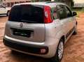 Fiat Panda Panda III 2012 1.2 Lounge Benzina/GPL Grau - thumbnail 5