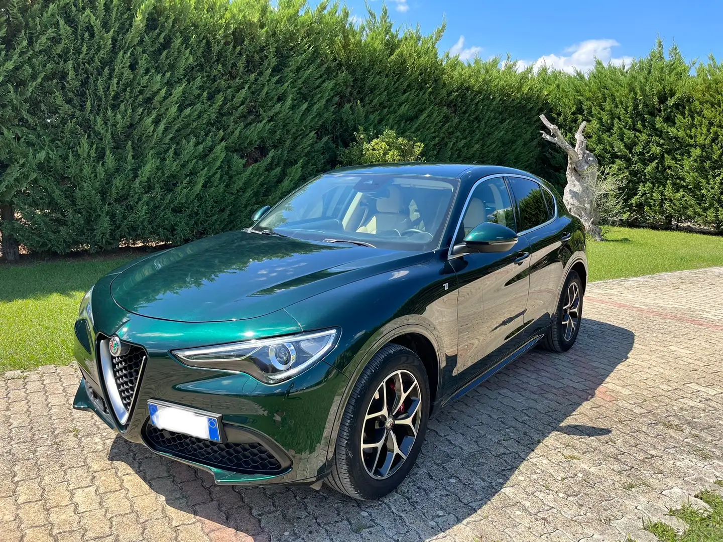Alfa Romeo Stelvio Stelvio 2020 2.0 t Ti Q4 280cv auto Green - 1