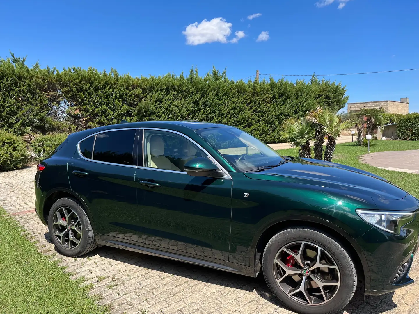 Alfa Romeo Stelvio Stelvio 2020 2.0 t Ti Q4 280cv auto Green - 2