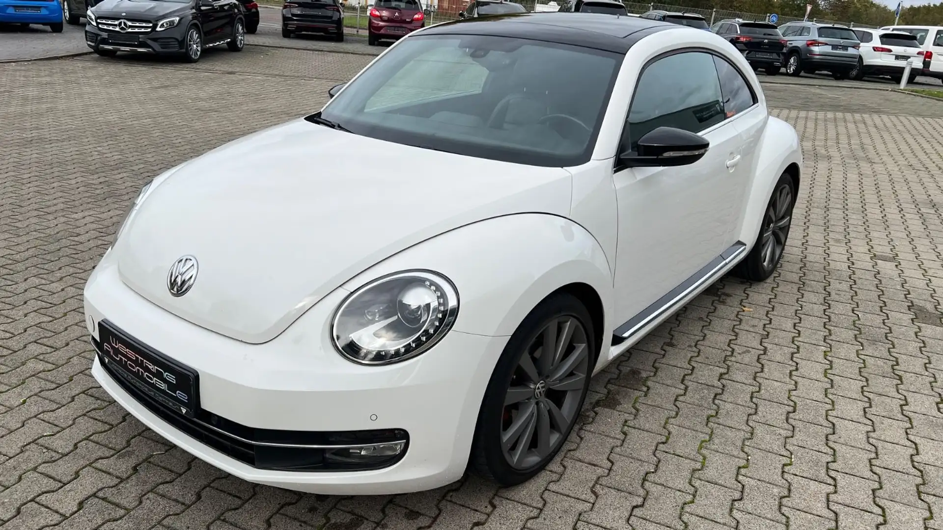 Volkswagen Beetle 2.0 TSI Sport*DSG*Scheckheft gepflegt* Weiß - 2