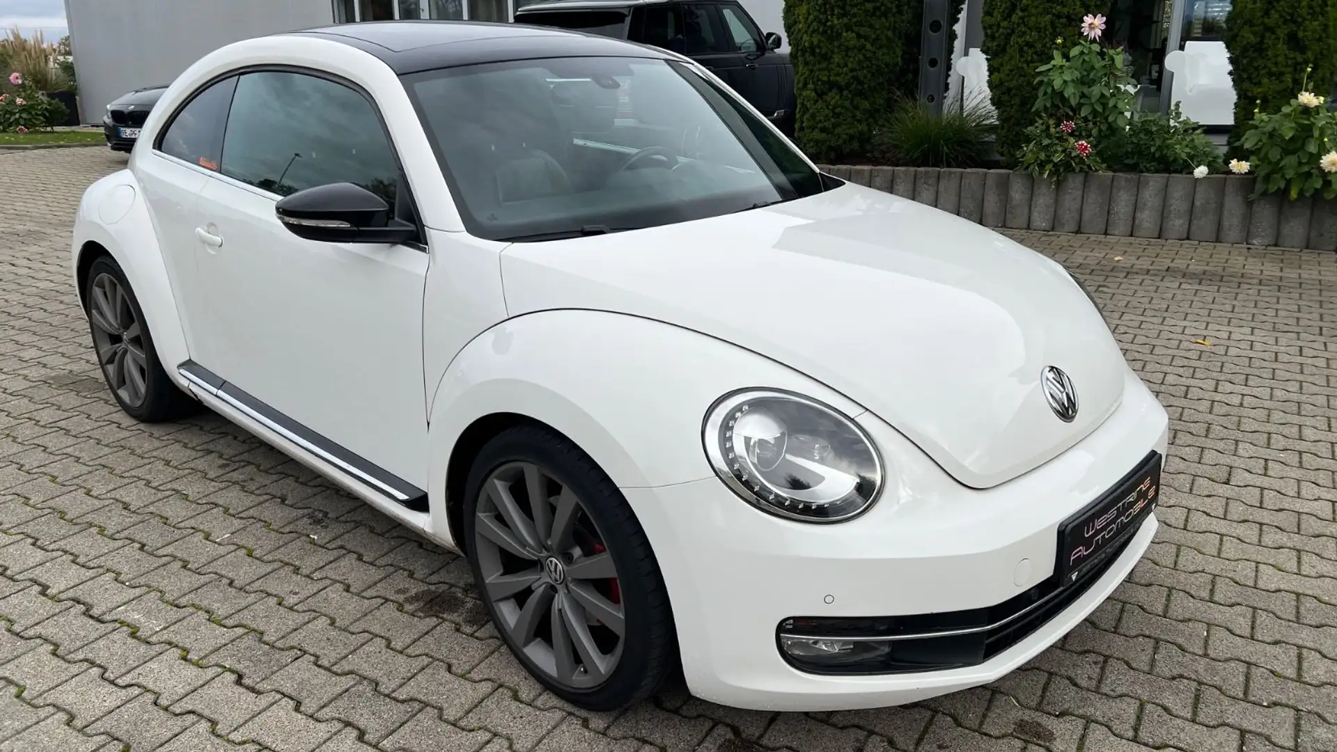 Volkswagen Beetle 2.0 TSI Sport*DSG*Scheckheft gepflegt* Weiß - 1