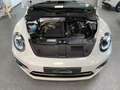 Volkswagen Beetle 1.2 TSI DSG * SOUND * 49009 km !! Blanc - thumbnail 13
