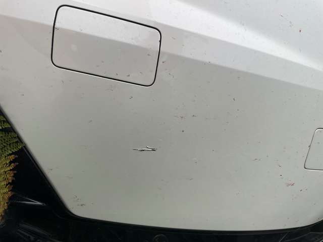 Polestar 2 Polestar 2 Dual Motor 78kWh