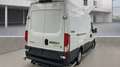 Iveco Daily*Kasten*L4H2*2.3L*Standheizung* White - thumbnail 3