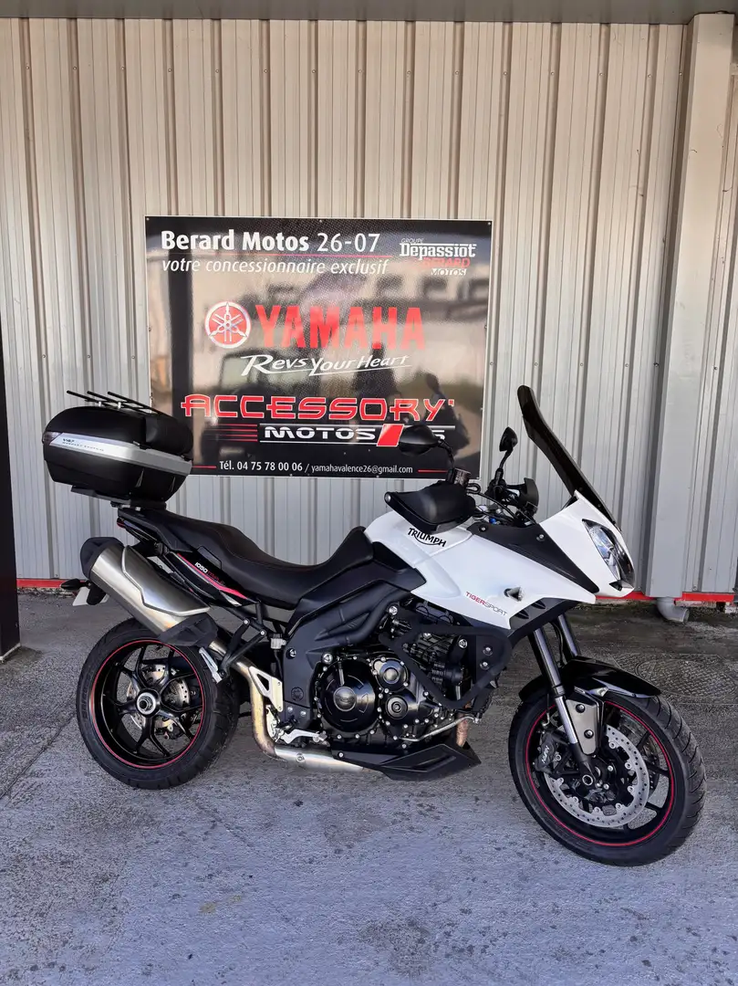 Triumph Tiger 1050 Blanc - 1