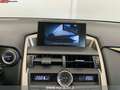 Lexus NX 300 1ª serie EXECUTIVE 4WD Gümüş rengi - thumbnail 9