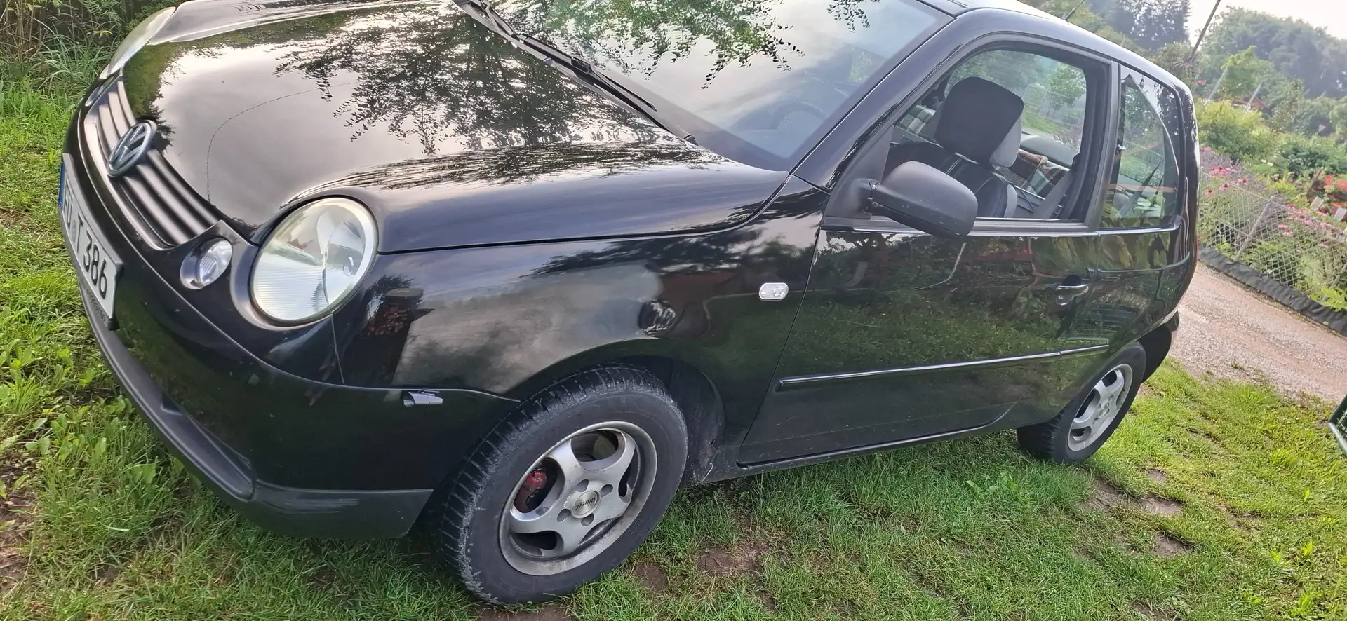 Volkswagen Lupo 1.0 College Чорний - 1