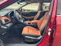 Subaru OUTBACK Outback Platinum MJ 25 Rouge - thumbnail 13