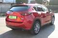 Mazda CX-5 2.2L Skyactiv-D 150CV 2WD Auto Exceed - CRUISE P Rosso - thumbnail 3
