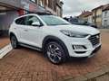 Hyundai TUCSON Tucson 1.6 CRDi Shine Full Options Toit Pano Cuir Blanc - thumbnail 3