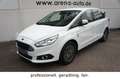Ford S-Max 2.0 EcoBlue Titanium*NAVI*KAMERA*AHK*7-Si* Blanc - thumbnail 3