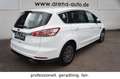 Ford S-Max 2.0 EcoBlue Titanium*NAVI*KAMERA*AHK*7-Si* Blanc - thumbnail 4