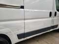 Fiat Ducato 33 2.3 MJT PLM-TA Furgone - UNICO PROPRIETARIO Bianco - thumbnail 12