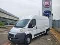 Fiat Ducato 33 2.3 MJT PLM-TA Furgone - UNICO PROPRIETARIO Bianco - thumbnail 1