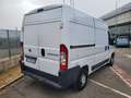 Fiat Ducato 33 2.3 MJT PLM-TA Furgone - UNICO PROPRIETARIO Bianco - thumbnail 2
