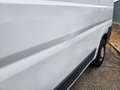 Fiat Ducato 33 2.3 MJT PLM-TA Furgone - UNICO PROPRIETARIO Bianco - thumbnail 10