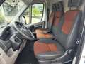 Fiat Ducato 33 2.3 MJT PLM-TA Furgone - UNICO PROPRIETARIO Bianco - thumbnail 3