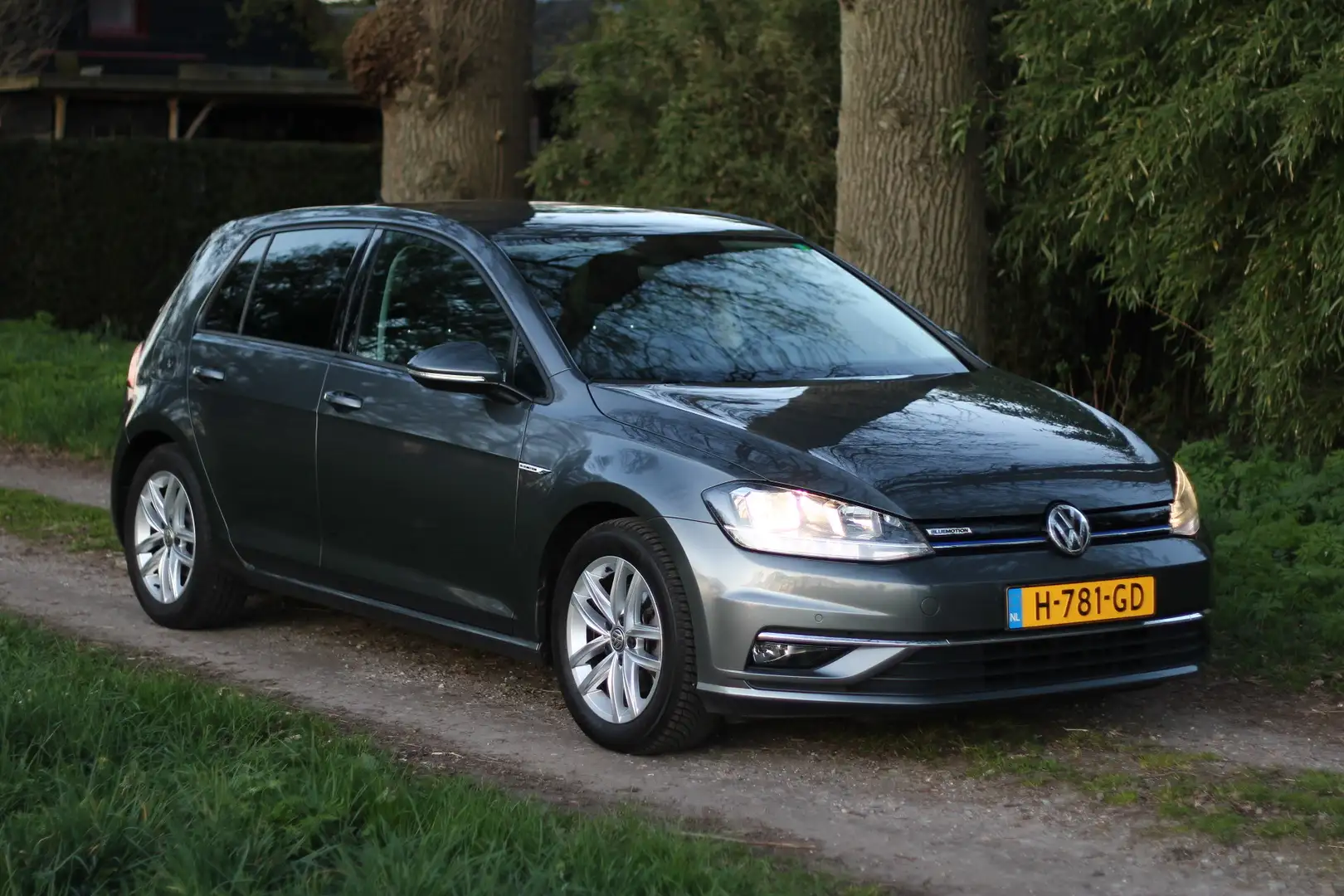 Volkswagen Golf 1.5 TSI 4-cilinder (175PK) Grijs - 2