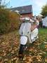 Vespa Sprint 125 Blanco - thumbnail 1