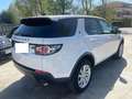 Land Rover Discovery Sport Discovery Sport 2.0 TD4 150 CV Blanc - thumbnail 4