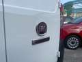 Fiat Fiorino 1.3 MJT 95CV Cargo Blanc - thumbnail 12
