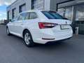 Skoda Superb Combi 1,4 l TSI Ambition*Standh*Bi-Xenon* Alb - thumbnail 6