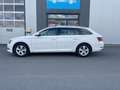 Skoda Superb Combi 1,4 l TSI Ambition*Standh*Bi-Xenon* Alb - thumbnail 7