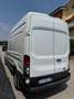 Ford Transit 350 2.0TDCi EcoBlue 170CV PL-TM Furgone Trend Blanc - thumbnail 3
