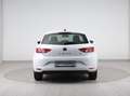 SEAT Leon Reference 1.2 TSI Weiß - thumbnail 5