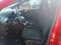 Ford Fiesta Fiesta VII 2017 5p 5p 1.5 tdci ST-Line 85cv Rosso - thumbnail 6